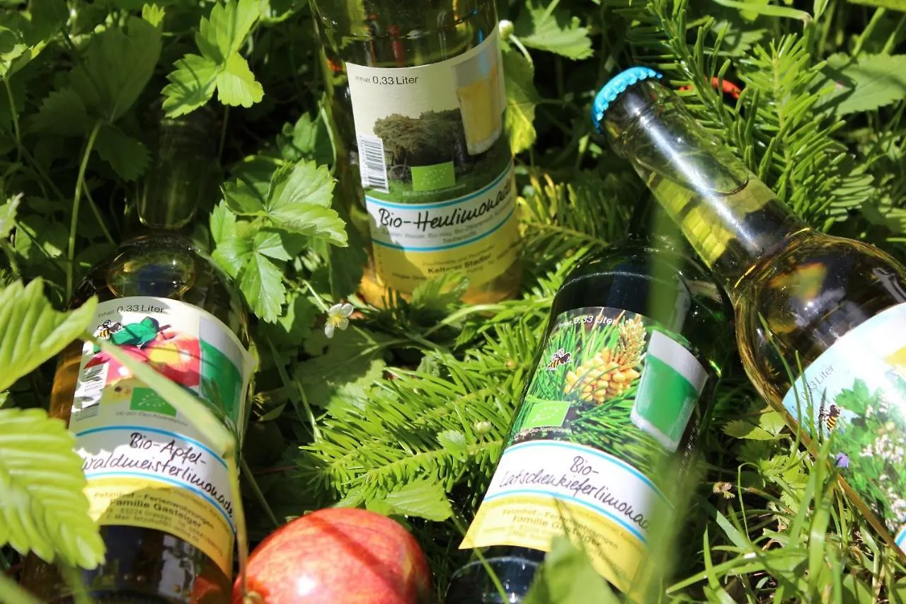 Farm stay Fetznhof-Zuhaus Villa Grassau