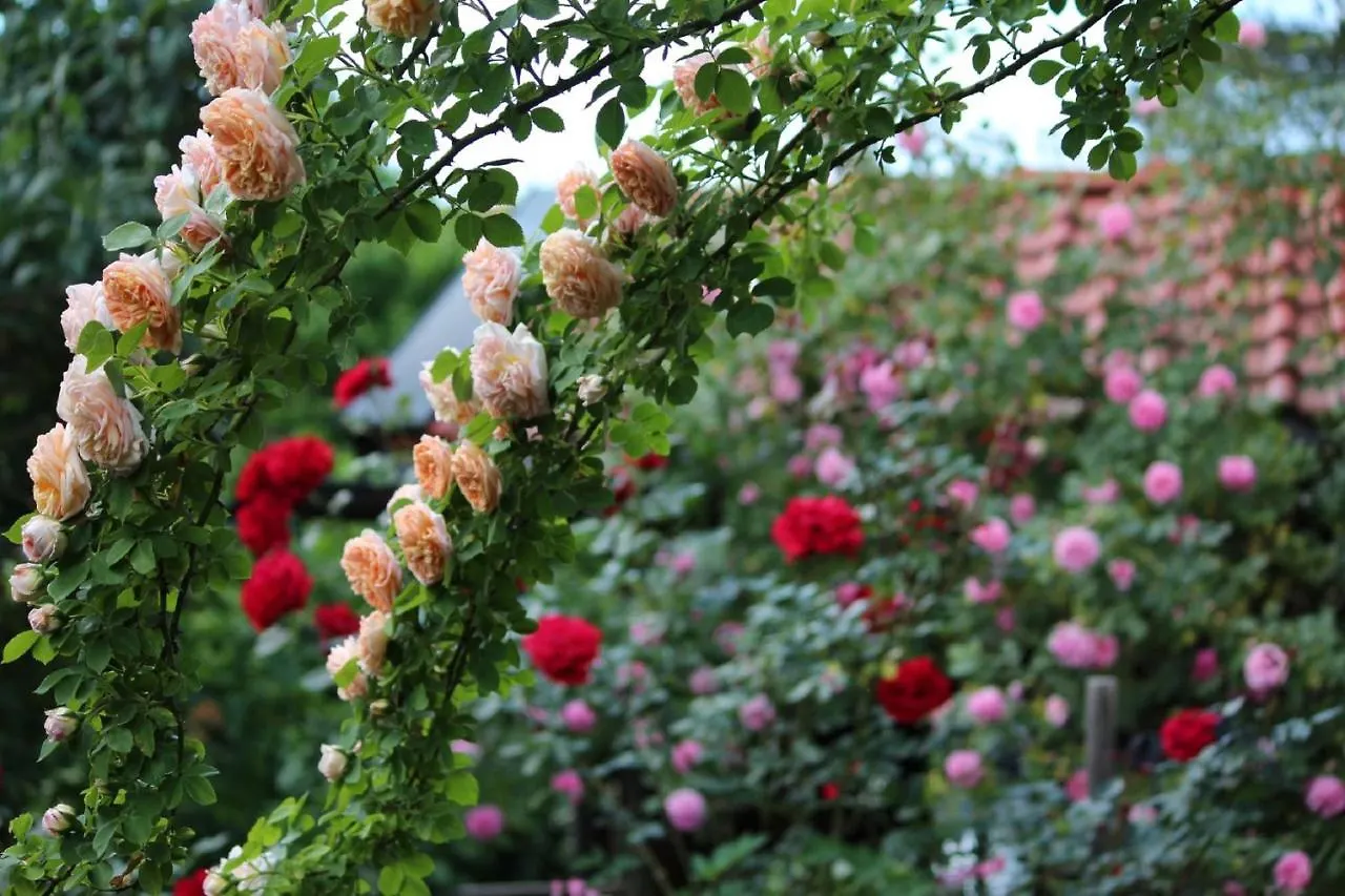 Fetznhof-Zuhaus Villa Grassau  Farm stay