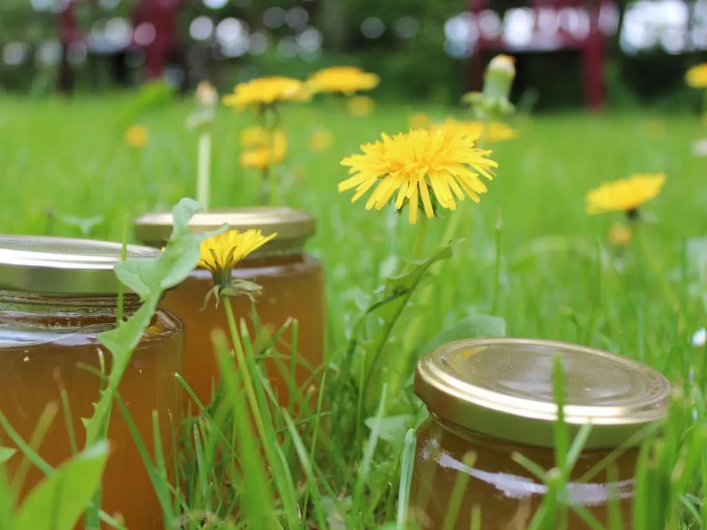 Farm stay Fetznhof-Zuhaus Villa Grassau